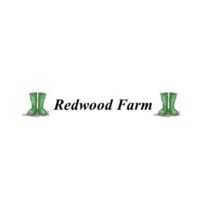 Pick Strawberries at Redwood Farm