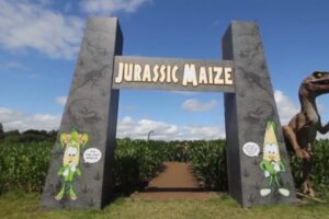 Places to see Dinosaurs this Summer